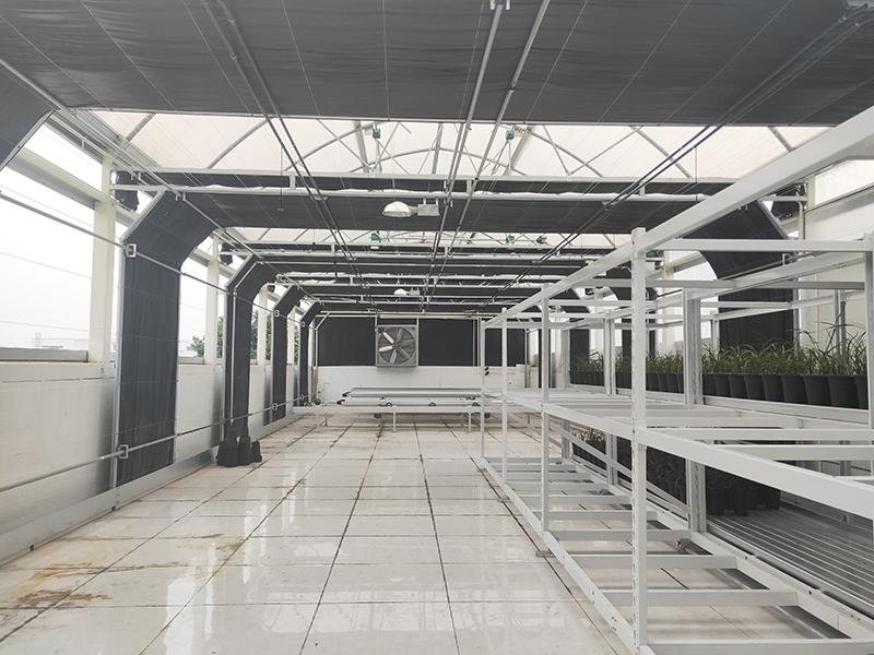 axgreenhousepbsg007 (1)1