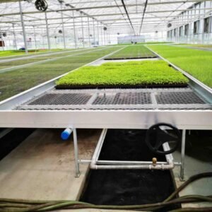 ebb&flow rolling benches grow table (复制)
