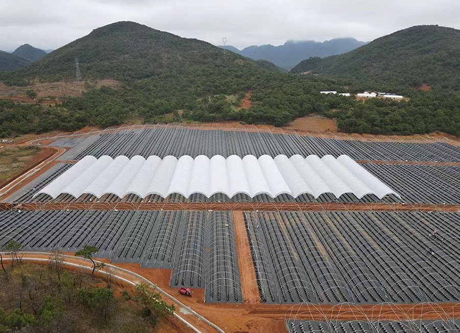 11 new zealand y shape film greenhouse 11117 6m 2