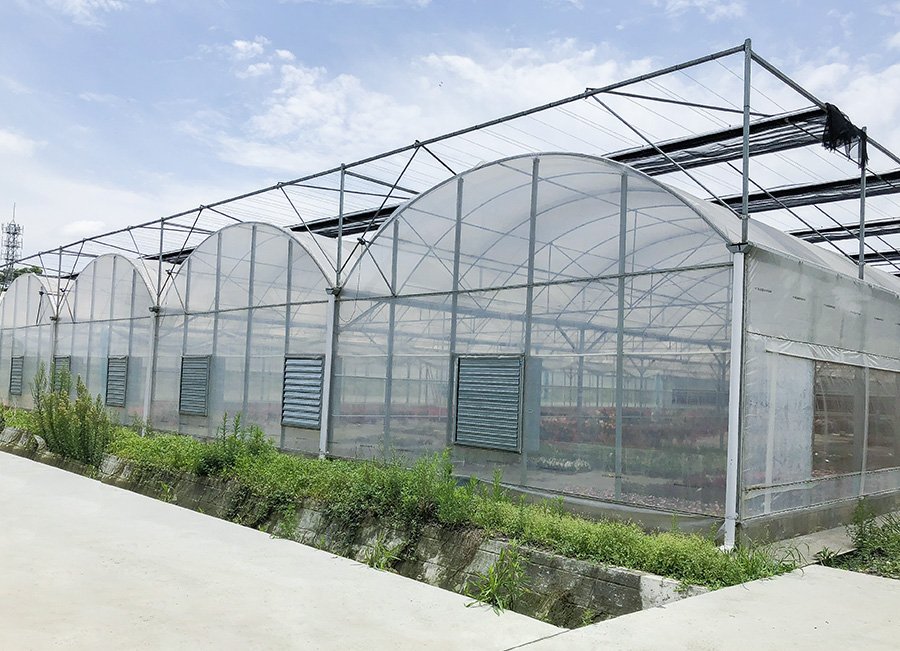 6 uzbekistan tomato greenhouse 8640m