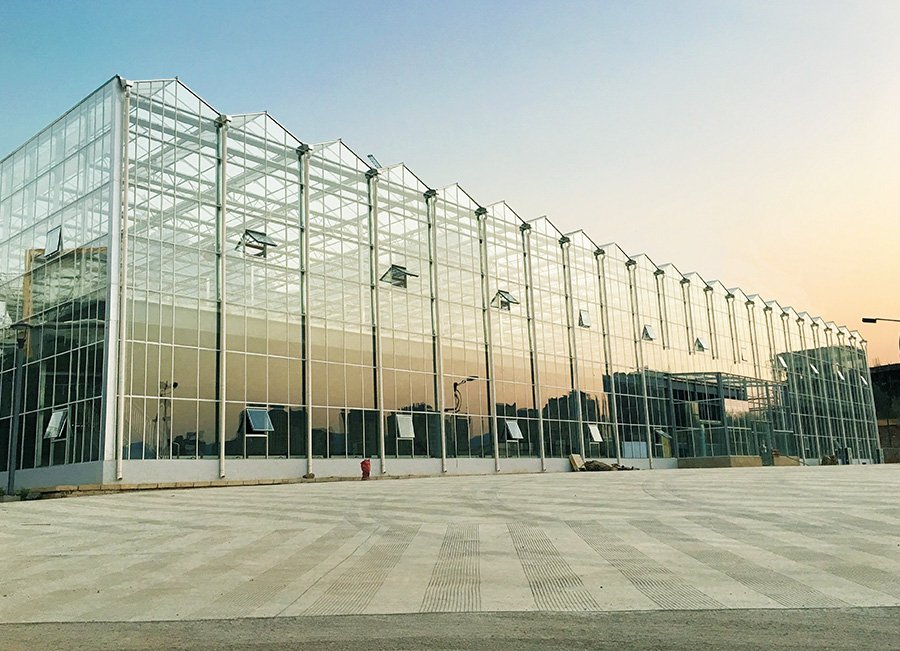 7 kunming venlo glass greenhouse 4838 4m