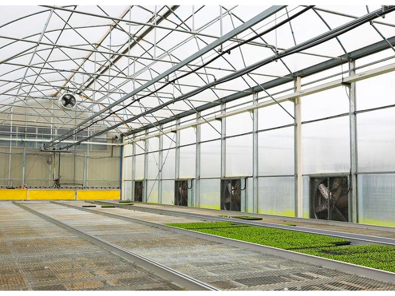 8 nepal high tunnel greenhouse 339m