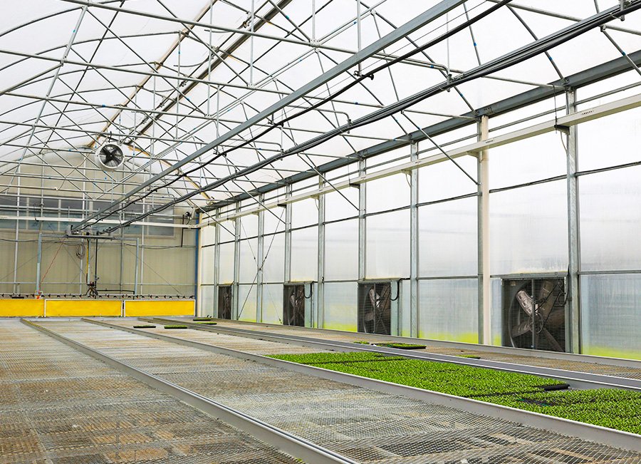 8 nepal high tunnel greenhouse 339m