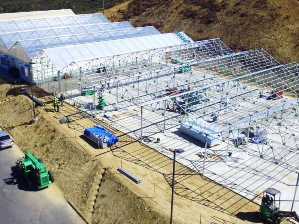 saw tooth plastic film greenhouses (复制)