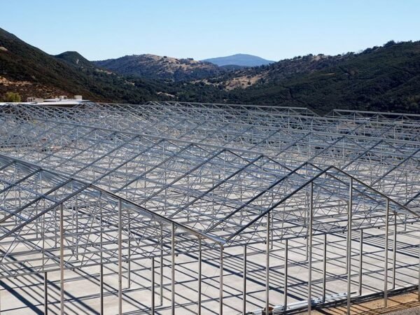 saw tooth plastic film greenhouses (复制)