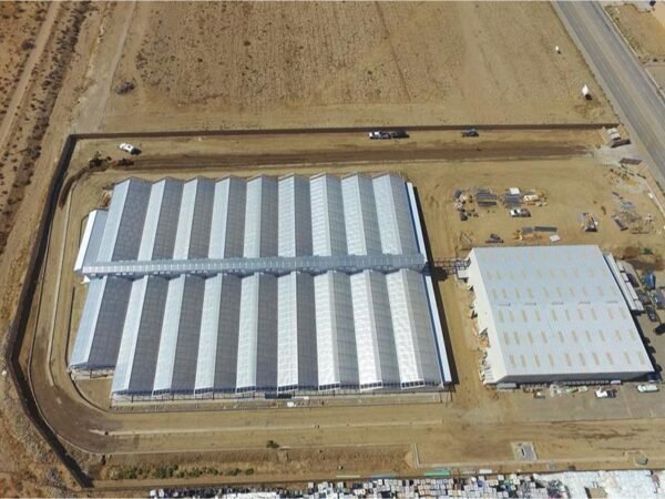 saw tooth plastic film greenhouses (复制)