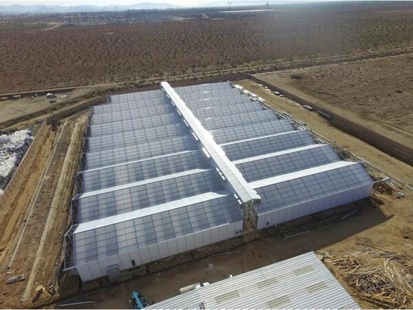 saw tooth plastic film greenhouses (复制)