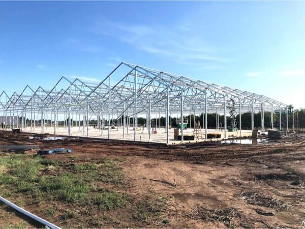 saw tooth plastic film greenhouses (复制)