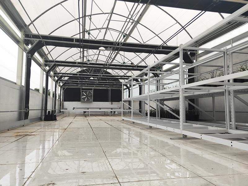 axgreenhousepbsg007 (5)1