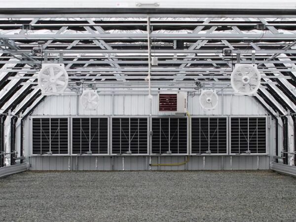 venlo polycarbonate greenhouses single span greenhouse (复制)