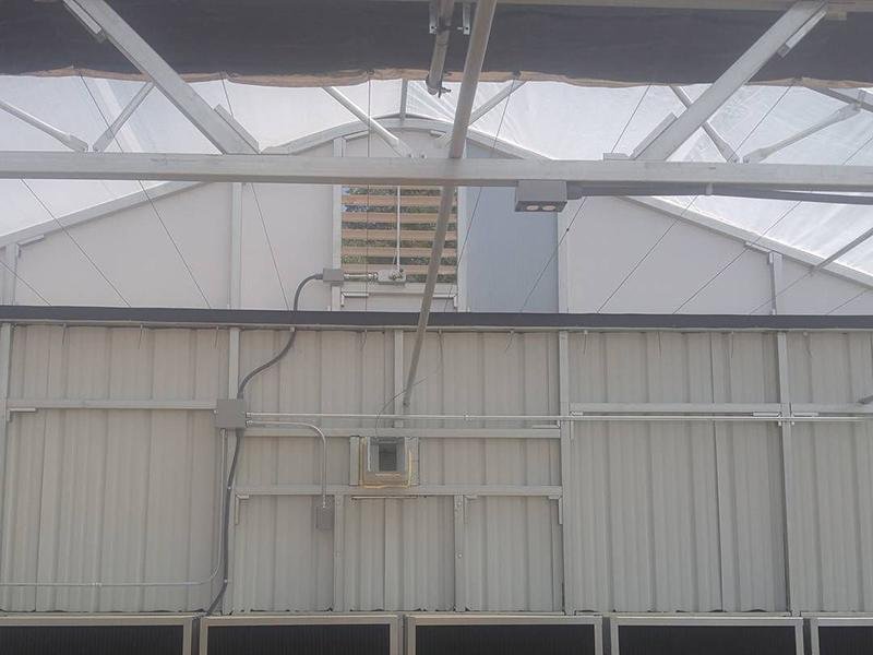 axgreenhousepbsg011 (13)1