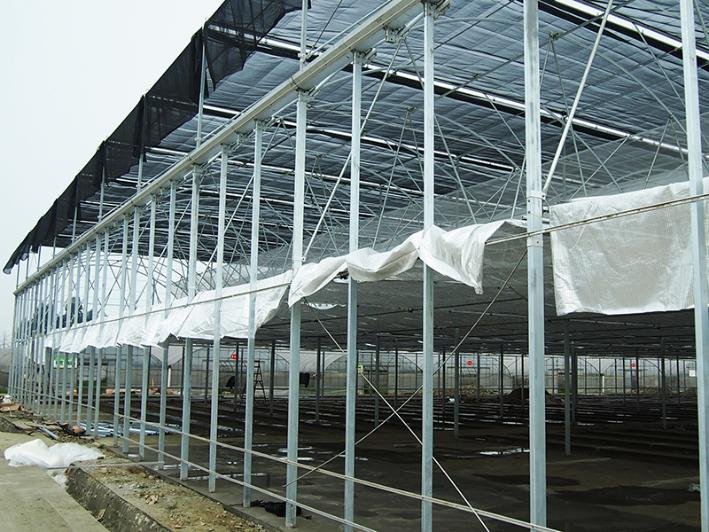 axgreenhousepmd005 (3)1