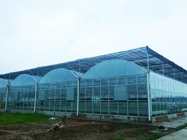 multi span plastic film greenhouse dome type film greenhouses (复制)