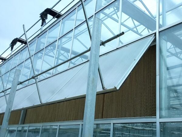 multi span plastic film greenhouse dome type film greenhouses (复制)