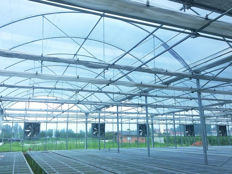 axgreenhousepmd010 (4)11
