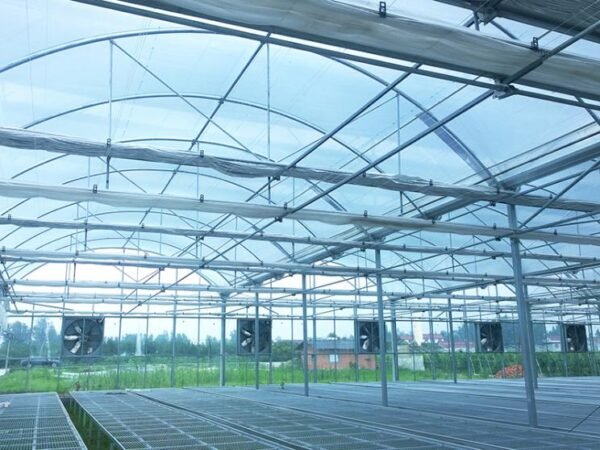 multi span plastic film greenhouse dome type film greenhouses (复制)