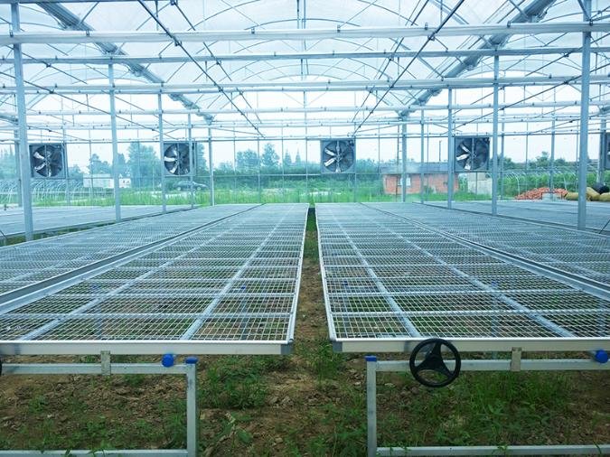 axgreenhousepmd010 (5)11