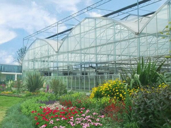 multi span plastic film greenhouse dome type film greenhouses (复制)