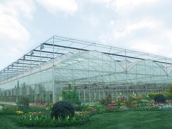 multi span plastic film greenhouse dome type film greenhouses (复制)