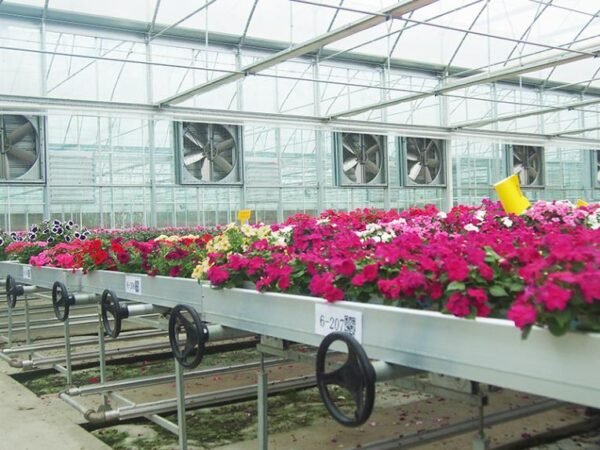 multi span plastic film greenhouse dome type film greenhouses (复制)