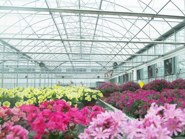 multi span plastic film greenhouse dome type film greenhouses (复制)