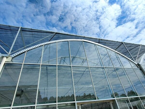 multi span plastic film greenhouse dome type film greenhouses (复制)
