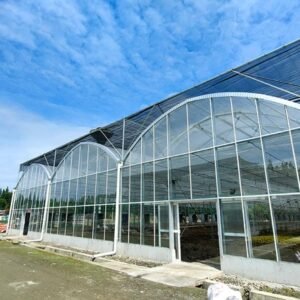 multi span plastic film greenhouse dome type film greenhouses (复制)