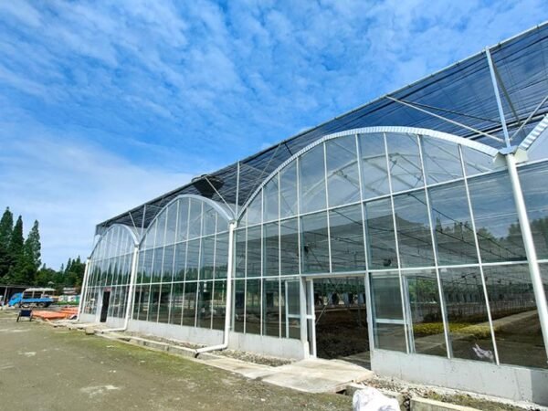 multi span plastic film greenhouse dome type film greenhouses (复制)