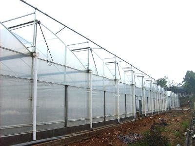 axgreenhousepms004 (2)1