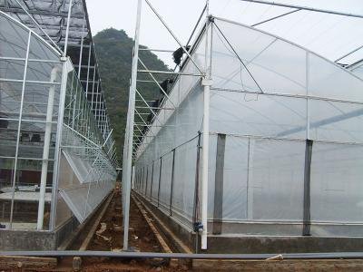 axgreenhousepms004 (5)1