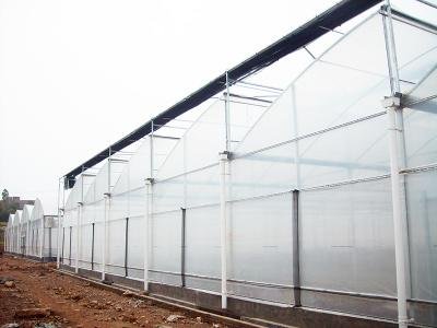axgreenhousepms004 (6)1