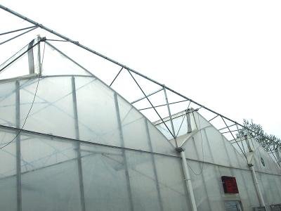 axgreenhousepms006 111