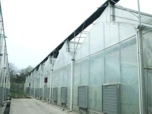 axgreenhousepms006 511