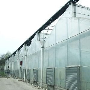 multi span plastic film greenhouse dome type film greenhouses (复制)