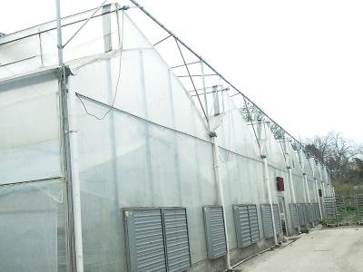 axgreenhousepms006 611