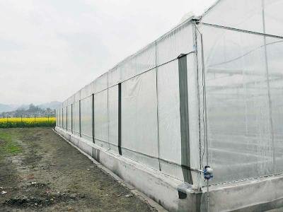 multi span greenhouse 2